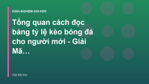 Read more about the article Tổng quan cách đọc bảng tỷ lệ kèo bóng đá cho người mới – Giải Mã Kèo